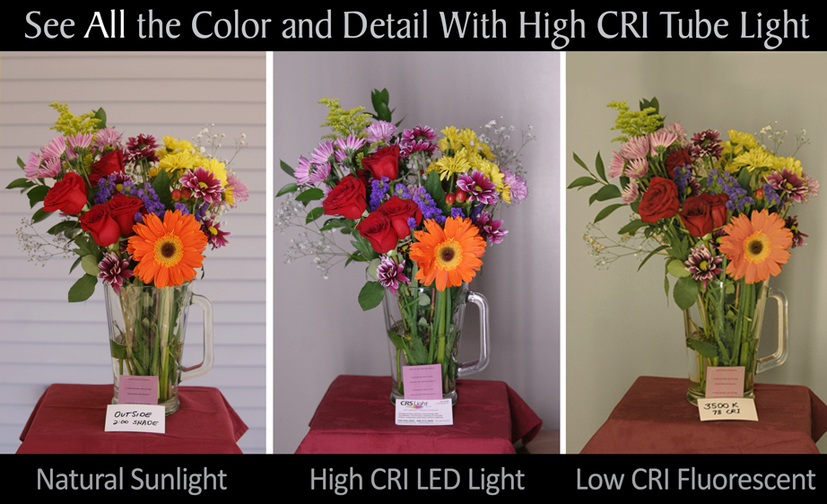 comparison photo of flowers