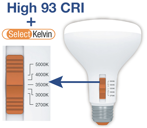 br30 led pic